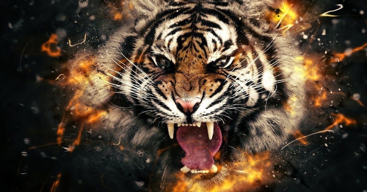 Tiger خلفيات النمر
