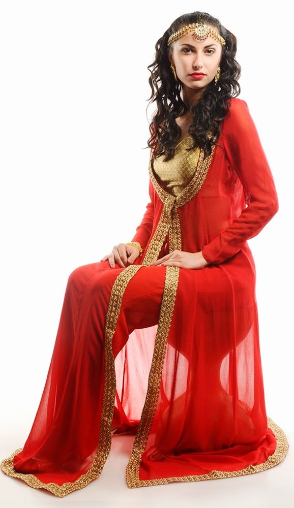 Long Embroidered Shirts Fashion 2013 Embroidered Dresses 20132014