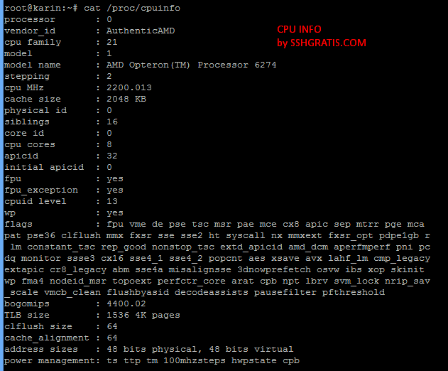 Initialized api. Api интерфейс. Cat /proc/cpuinfo. Rest api схема клиент сервер. Initialized api.