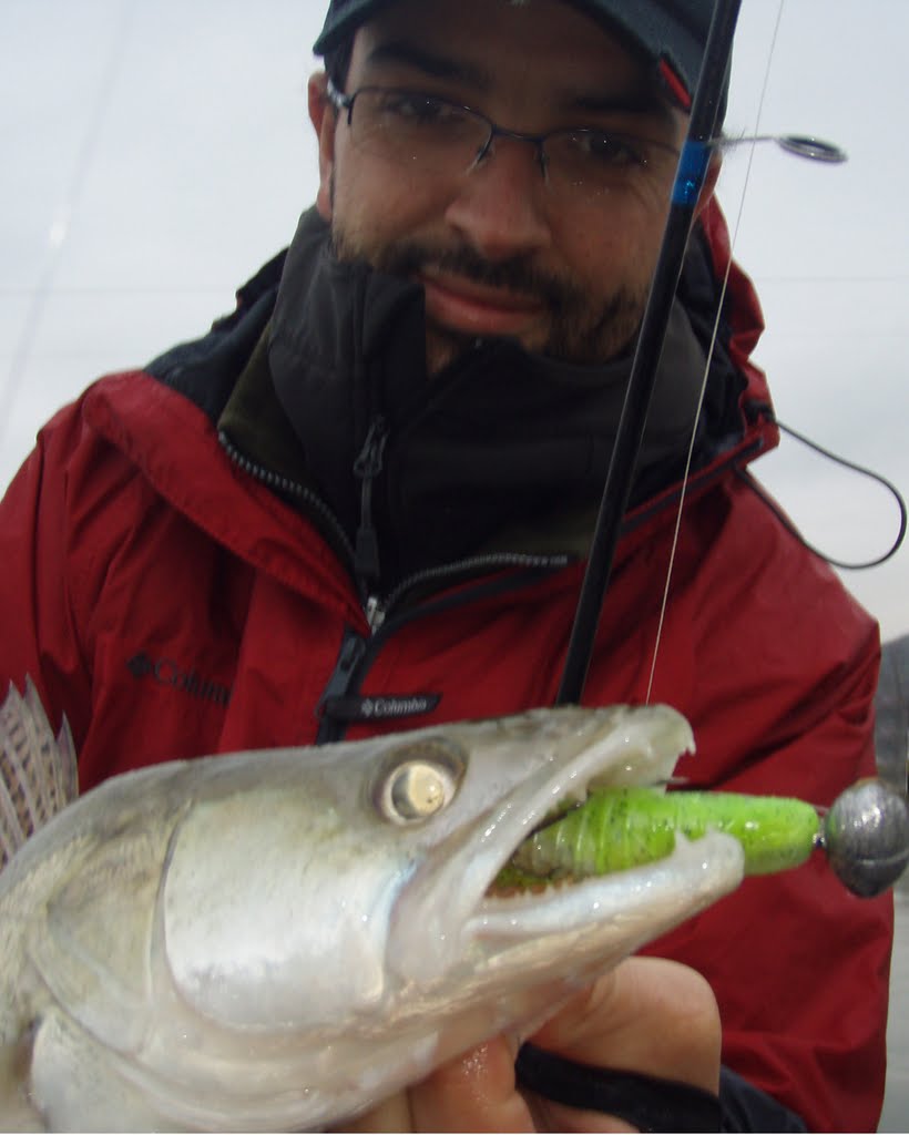 Le Blog de Quentin Une fin en queue de poisson
