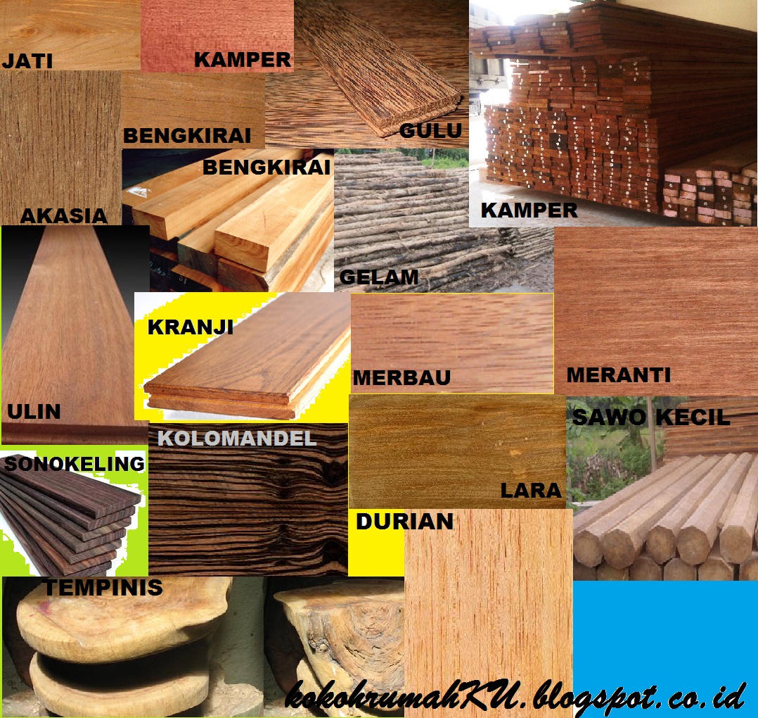  Jenis kayu  se indonesia paling kuat untuk bangunan 