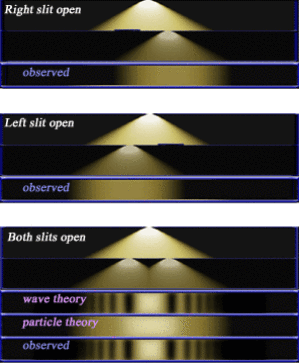 double phenomena double phenomena