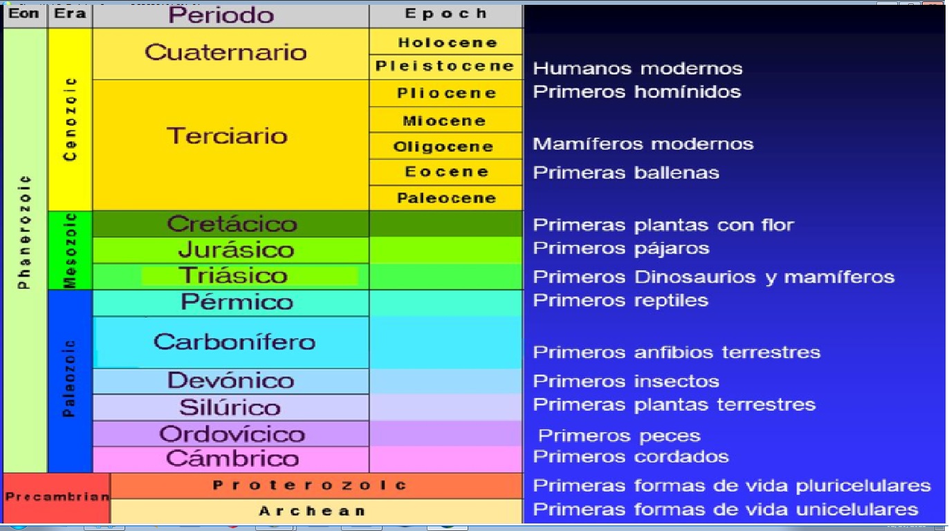 Tareas Y Trabajos TABLA CON ERAS GEOLOGICAS Y SUS CARACTERISTICAS 14560 ...