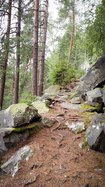 along the carpathian paths, on the roads of Ukraine, Ukraine, The Carpathians, mountains, Hoverla, Synyachka, Makovitsya, trips, trevelling, Yaremche, relax, rest in Ukraine, відпочинок у Україні, Україна, Карпати, Говерла, Маковиця, Синячка, Яремче, відпочинок в Яремчі, котедж в Яремчі, котедж у мирослава яремча, подорожі україною, відпочинок в горах, похід карпати, похід на велосипедах, отдых в карпатах, украина, дорогами украины, тропками карпат, дорогами України, стежинами карпат, sewn dreams подорожують, велопохід в карпатах, скелі довбуша, скалы довбуша, dovbush's rocks