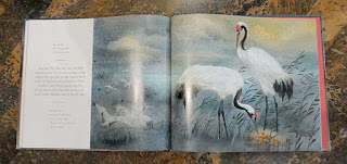 The boy turns into a crane Happy crane family