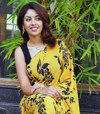richa gangopadhyay in saree glamour  images