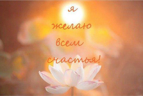 Сыроедения