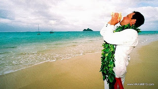 Hawaiian Lei