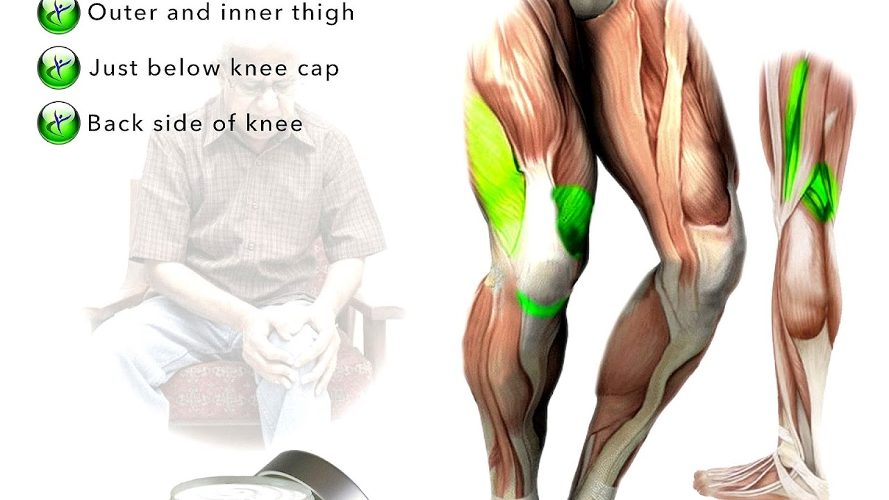 Muscle In The Back Of The Knee - Knee Choices