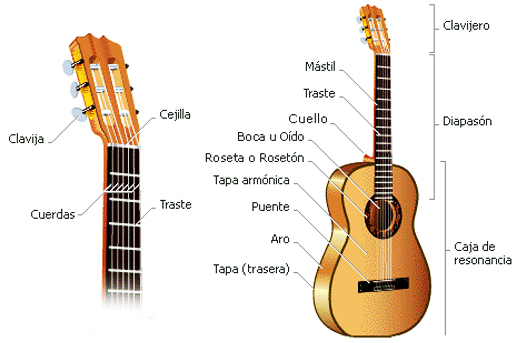 Héroes del Arpegio: Partes de la Guitarra