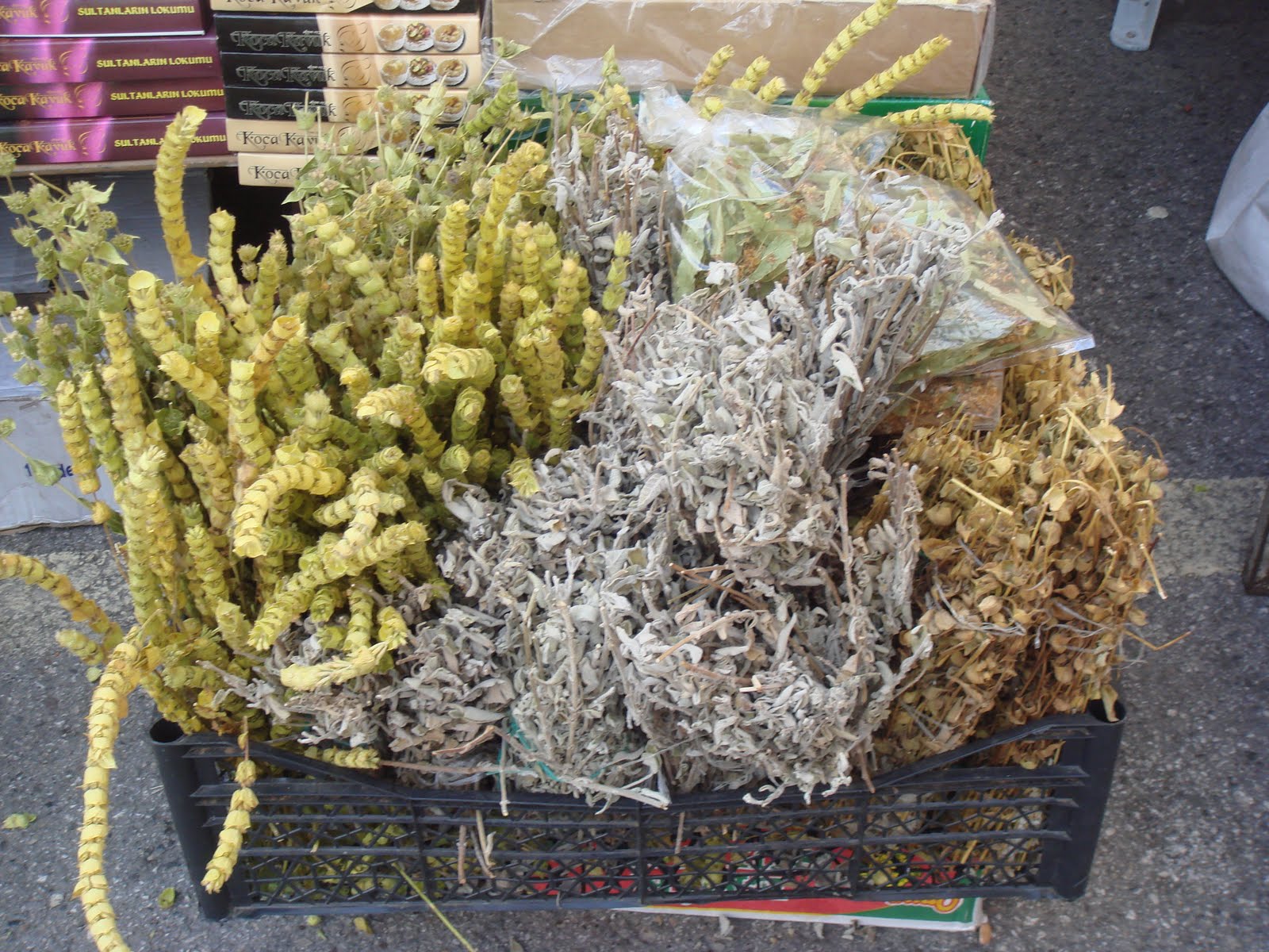 TATİL ALTERNATİFLERİ 2. Gün Antalyanın Sahilini Ve Yemeklerini Keşfe