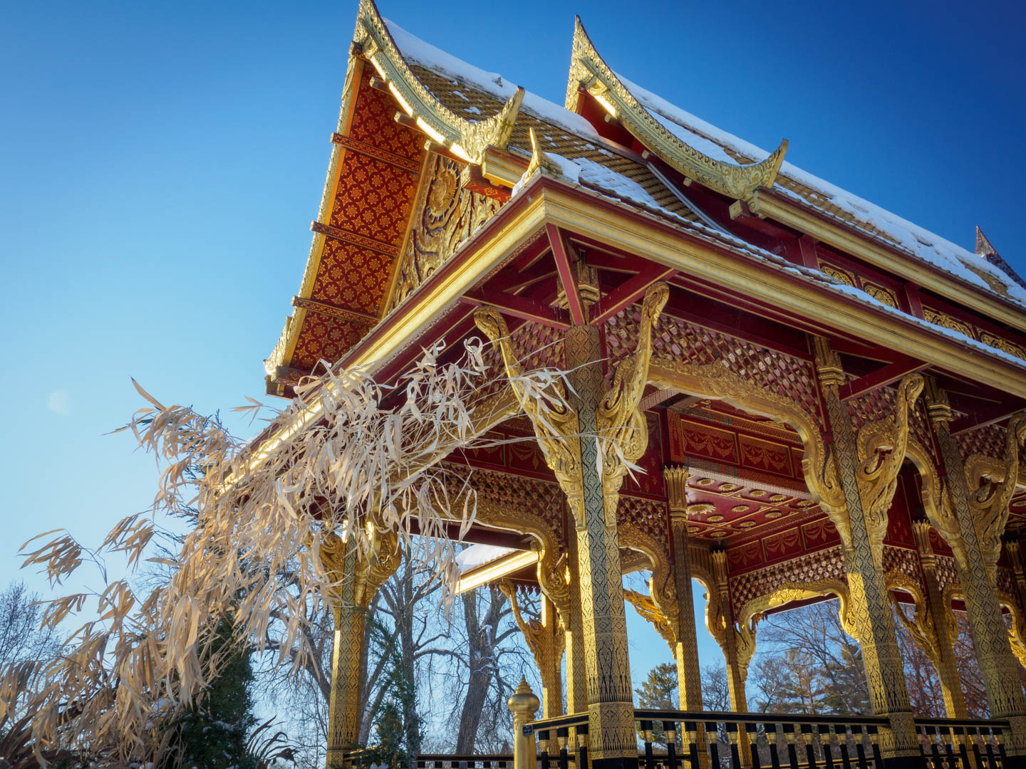 Indian Summer Afternoon At Olbrich >> Enderle Travelblog Thai Structure In The Snow Indian Summer Afternoon At Olbrich >> Enderle Travelblog Thai Structure In The Snow