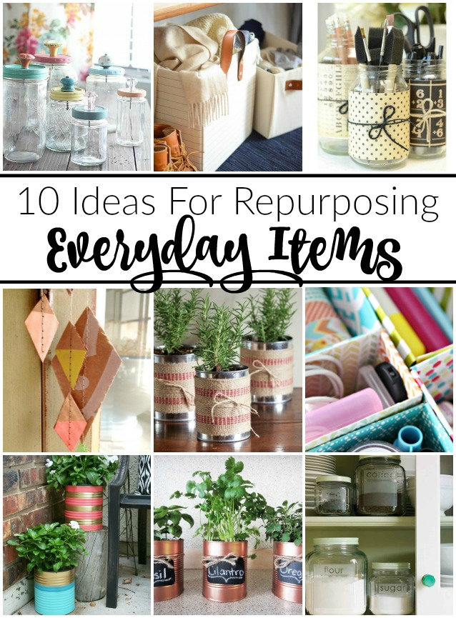 6 Household Items That You Can Repurpose for Enrichment (With Videos!)