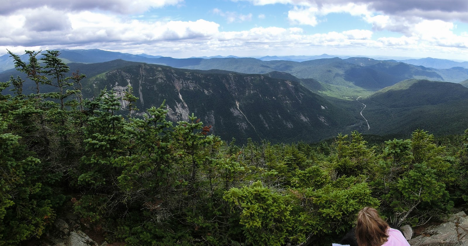 Home Tom, Field and Willey