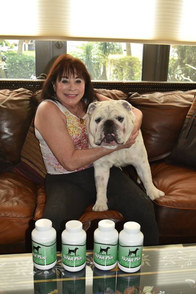 Supplement From Vet For Dog That Won T Eat Supplement From Vet For Dog That Won T Eat