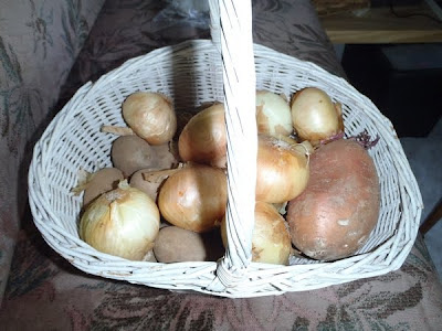 vegetable basket in my RV Phtoto copyright by DearMissMermaid.Com