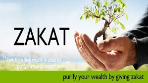 Gambar Sinergi Foundation