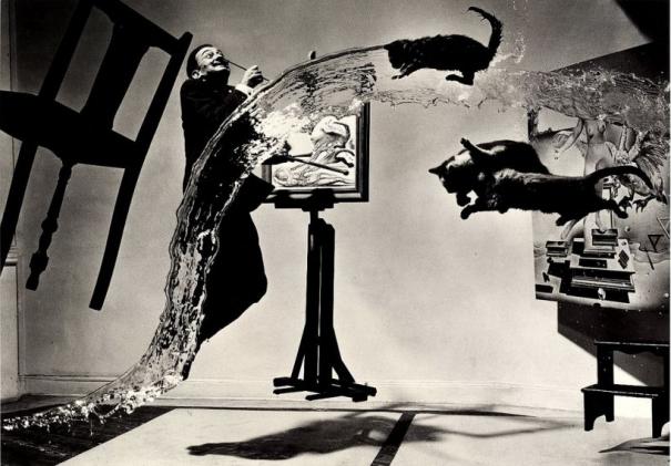 Image result for dali cats water photo