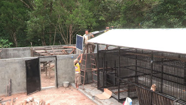 Placing the solar panels for the energizer