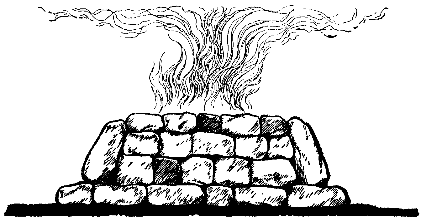 news from nammie Parashat Vayikra what does it mean to sacrifice?