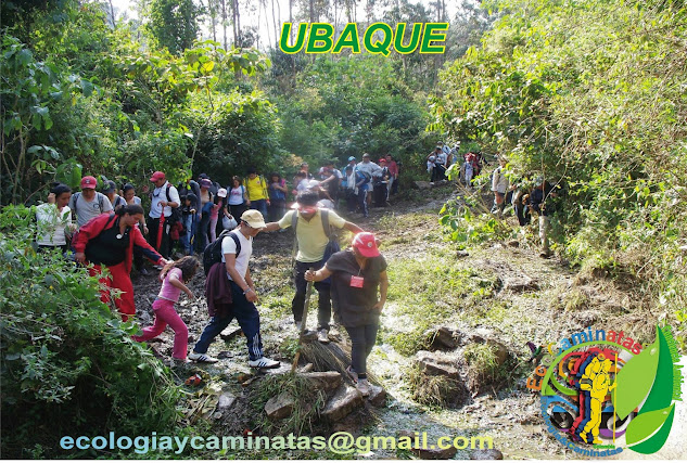 EcoCaminatas, camino a puente amarillo, caminata a Ubaque.