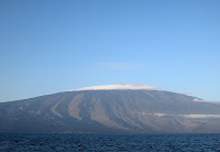 Volcan Wolf  Shield Volcano