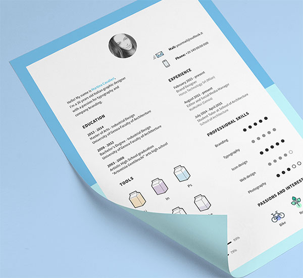 CV Template and Icons Free