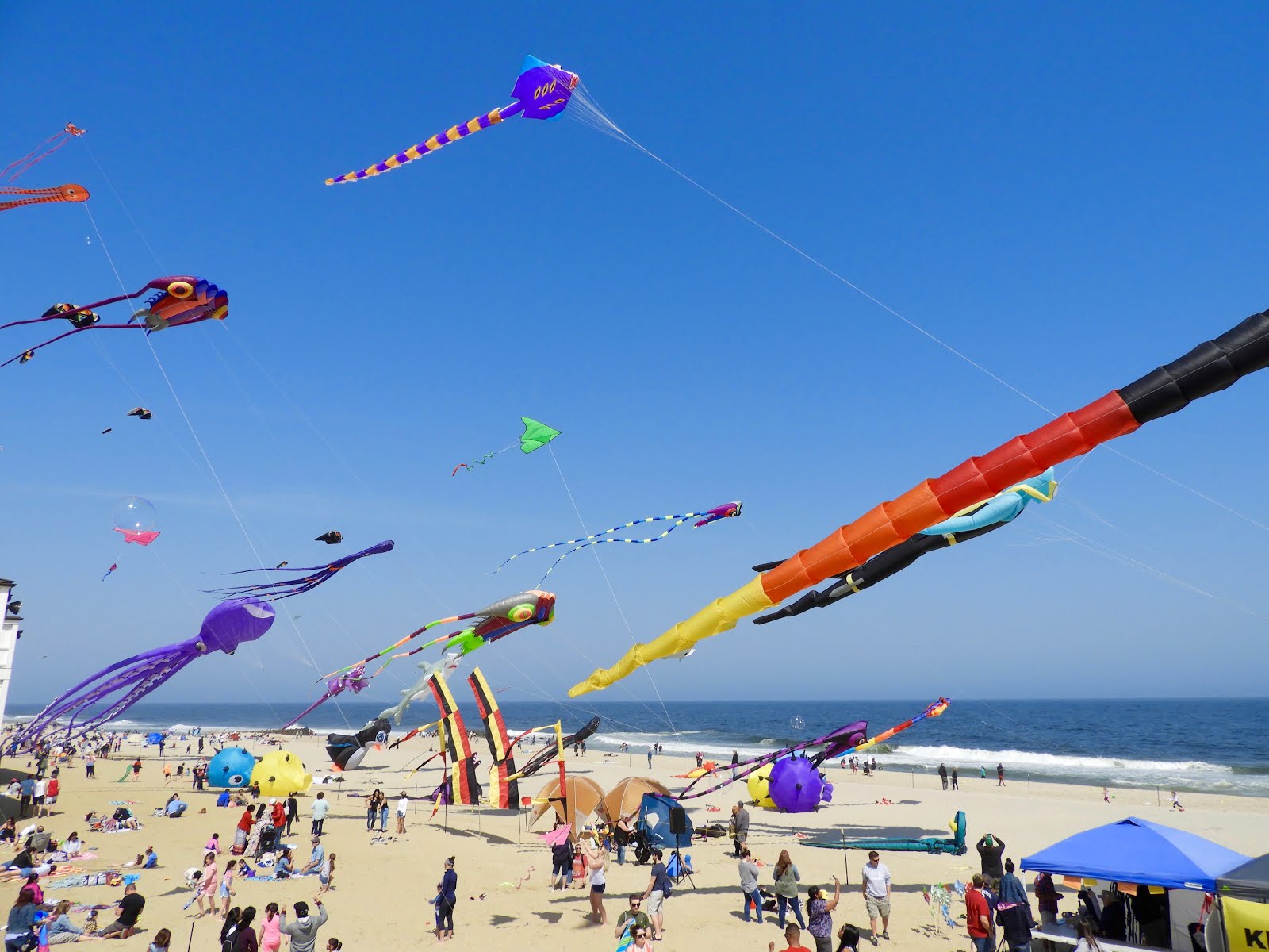 It's All About Purple Kite's At The Pier