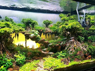 200 Referensi Desain Dan Model Aquascape Berdasarkan Tema https://www.faktapopuler.com/2018/12/200-referensi-desain-dan-model.html