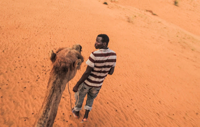 camel ride in lompoul desert camel ride in lompoul desert
