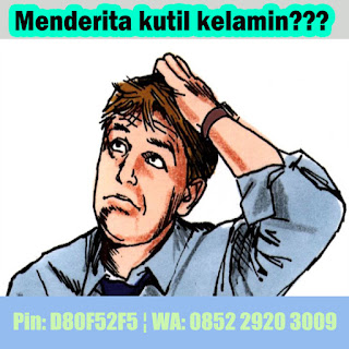 Obat Kutil Kelamin Di Apotik K24 Anus Sembuh Lekas Obat Kutil Kelamin Di Apotik K24 Anus Sembuh Lekas