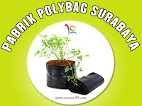 Keunggulan Bertanam Menggunakan Polybag
