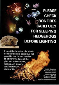 Check your bonfire