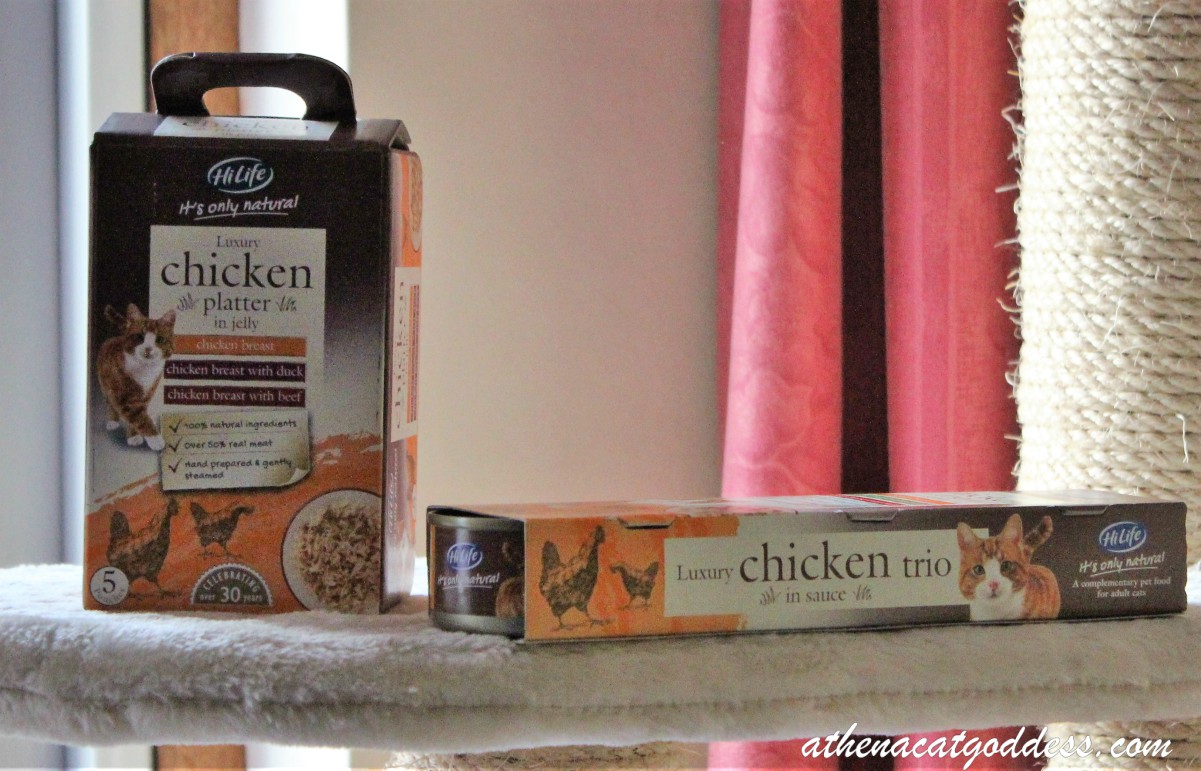 Athena Cat Goddess Wise Kitty Review and Giveaway HiLife It's Only