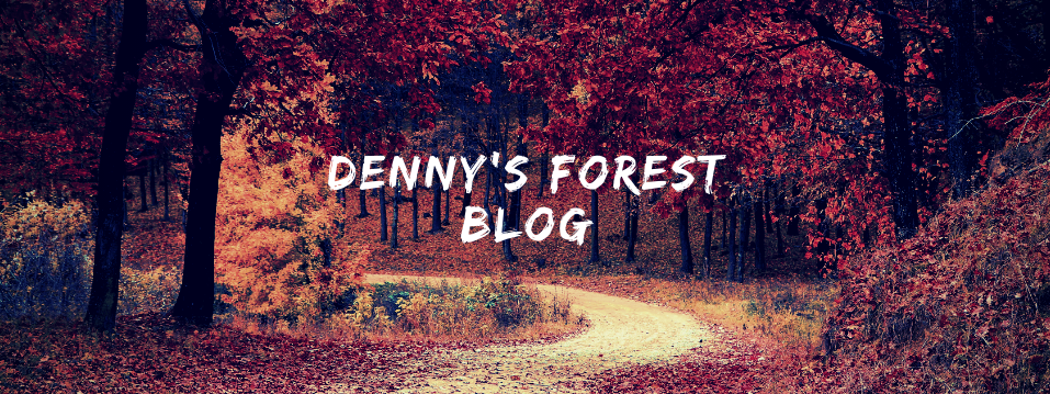 Denny's Forest Blog