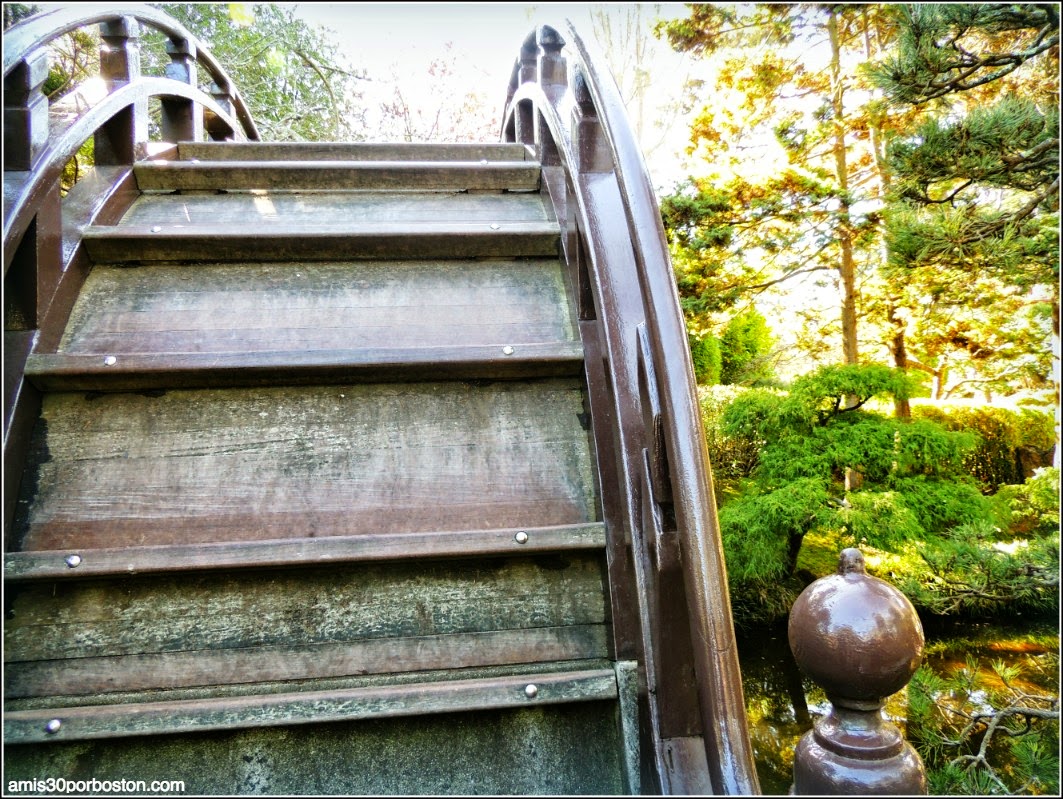 Puente Luna, Japanese Tea Garden: San Francisco Puente Luna, Japanese Tea Garden: San Francisco