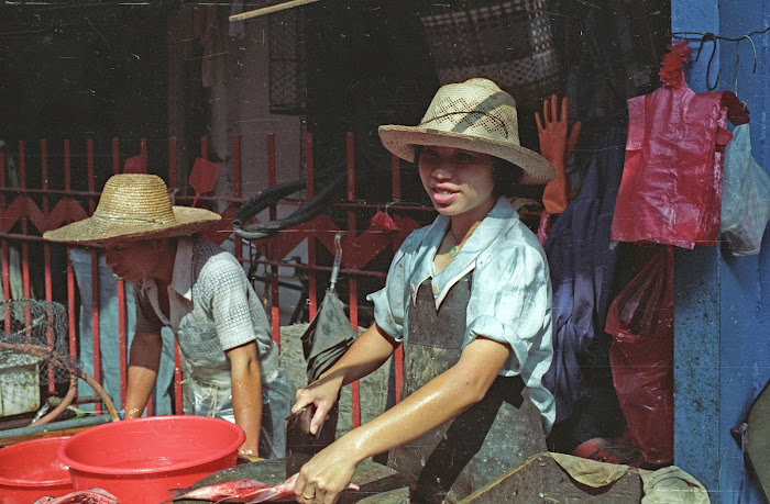 Canton, Guanzhou, marché Tiyun Lu, © L. Gigout, 1990