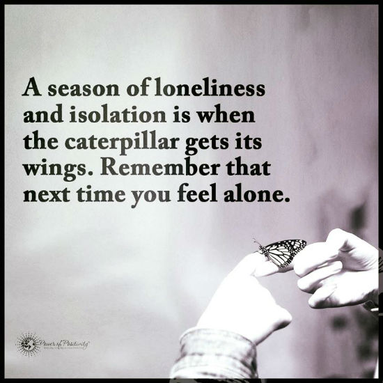 A season of loneliness and isolation is when the caterpillar get its