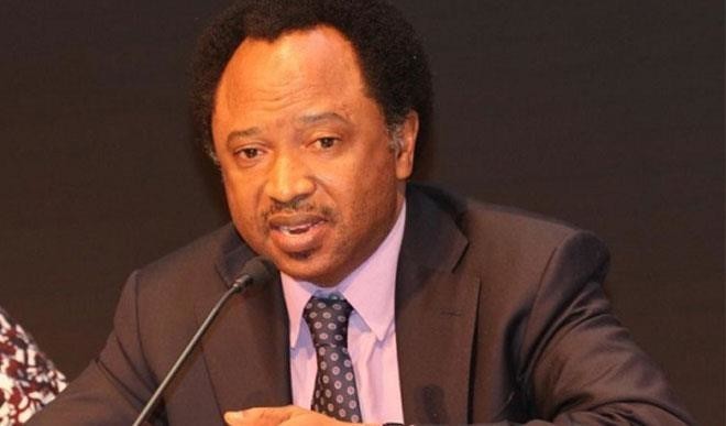 Masu kashe-kashe 'yan ta’adda ne- Shehu Sani