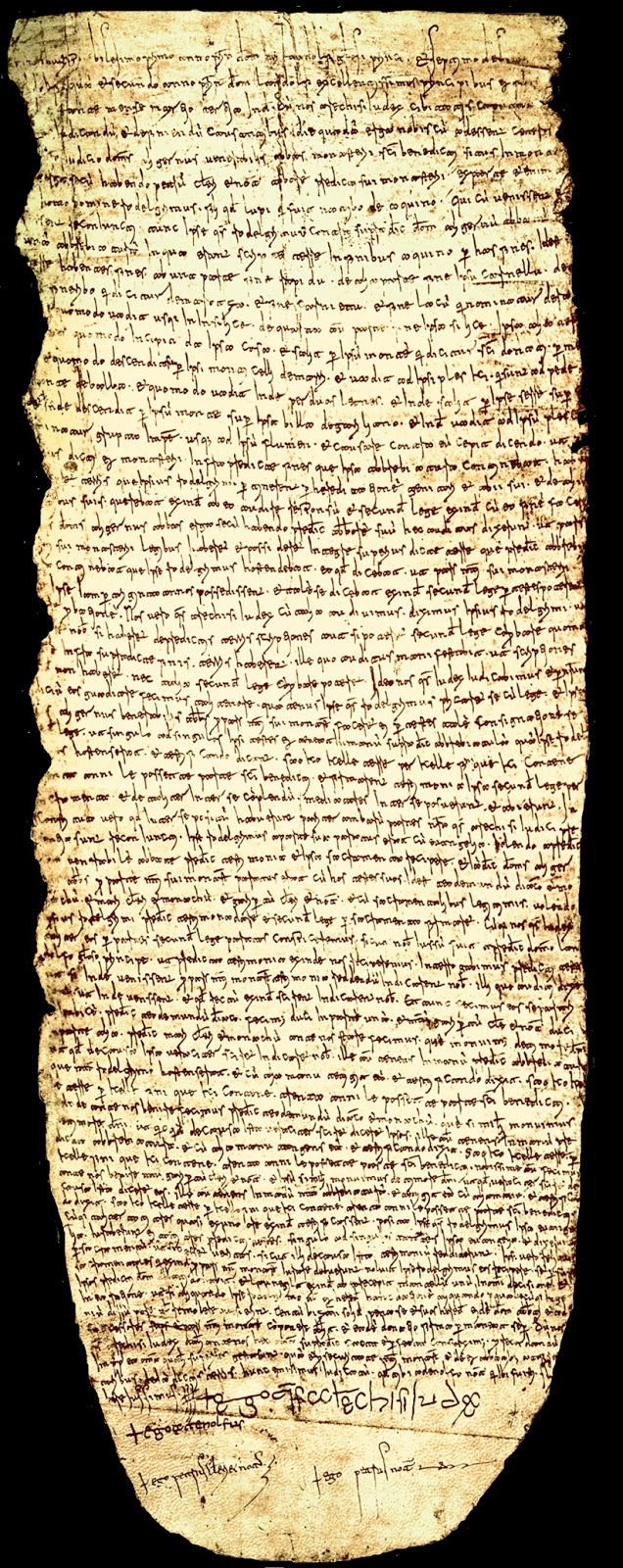 Il medievalista: "In italiano, per favore." Di terre contese, PLACITI