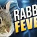 CAUTION! THIS WHAT YOU SHOULD KNOW ABOUT DEADLY RABBIT FEVER (TULAREMIA)
