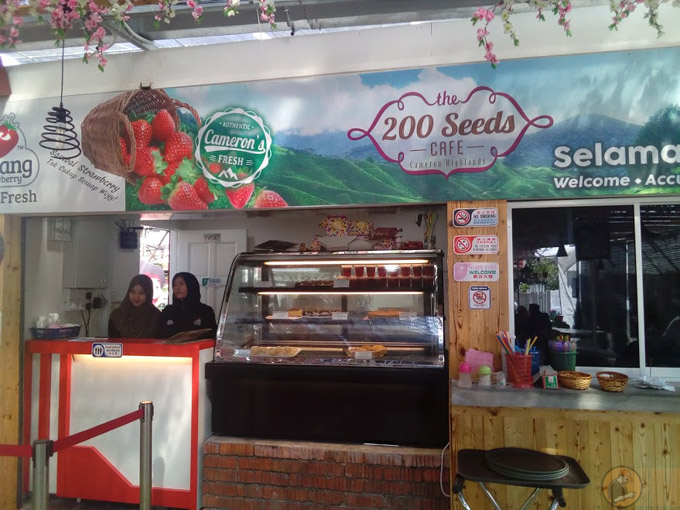 200 Seeds Cafe by Abang Strawberry Cameron Highlands