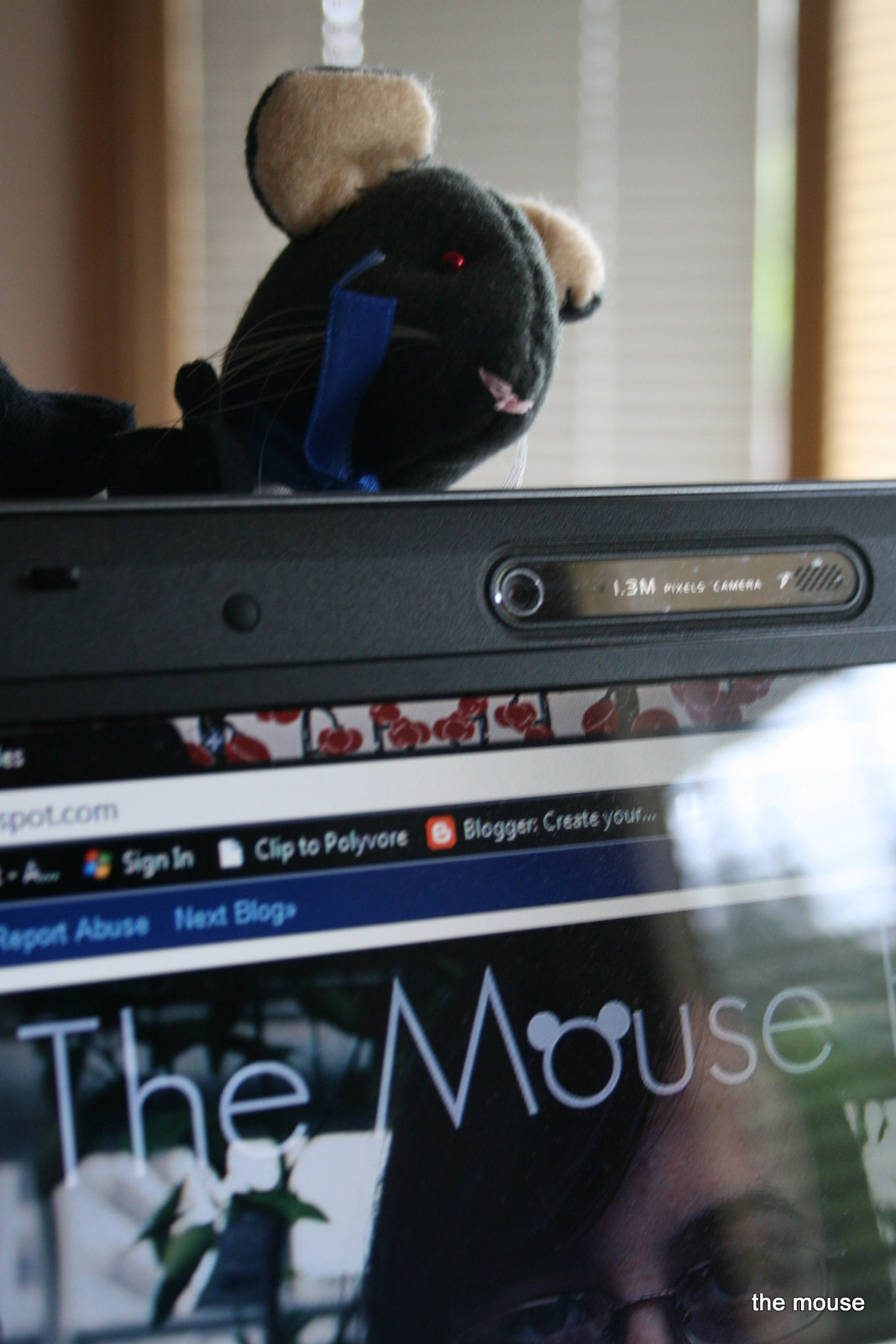 Introducing... | The Mouse Files