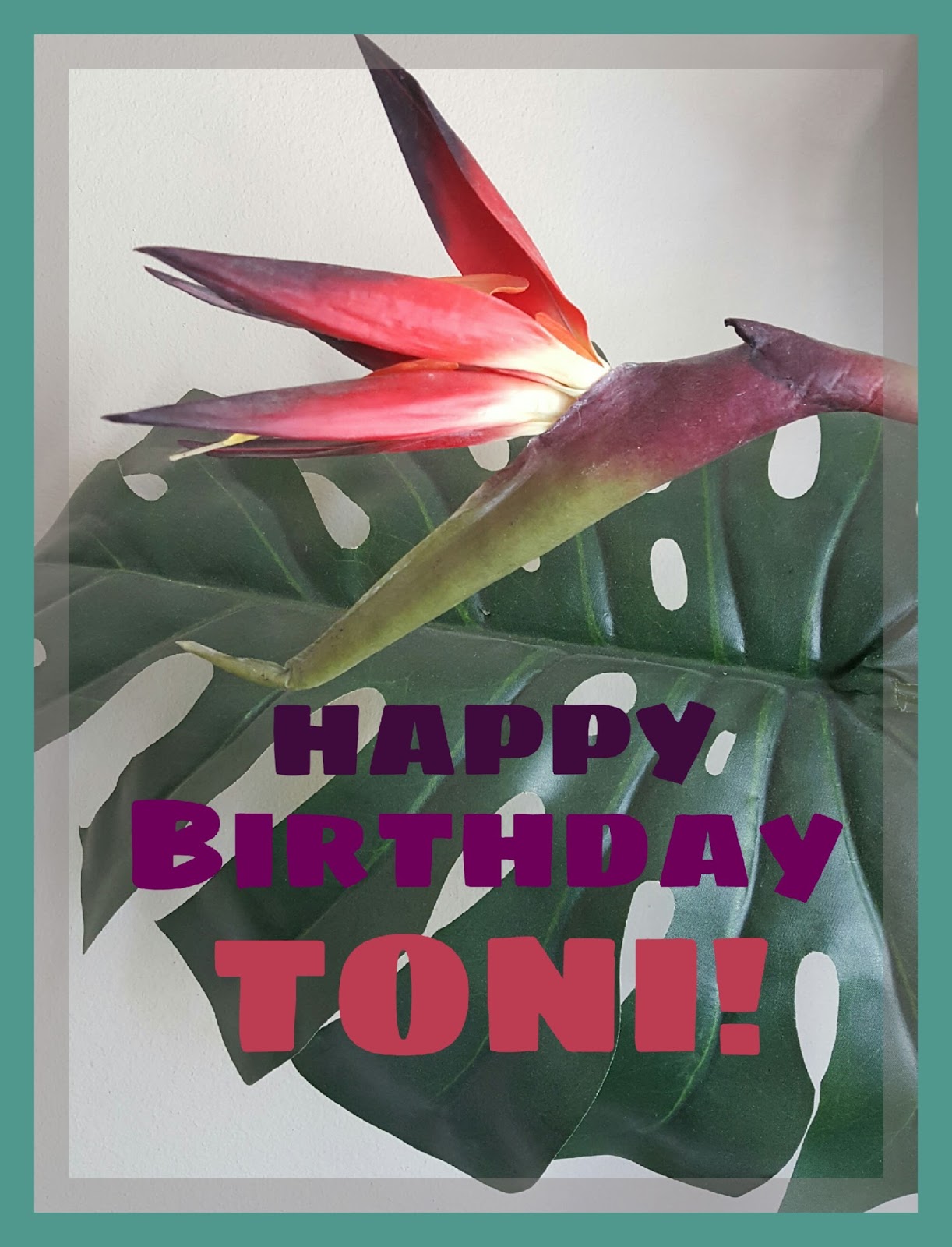 Lisa&rsquo;s Life Lines: Happy Birthday Toni