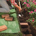 How to make garden border from brick