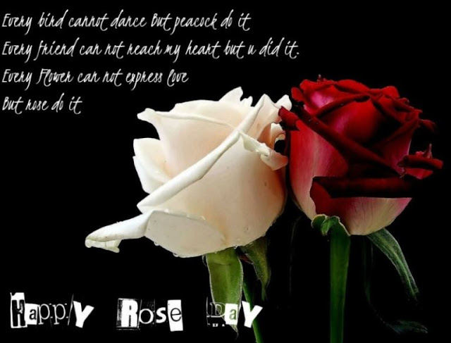 Shayari on Rose Day in Hindi 