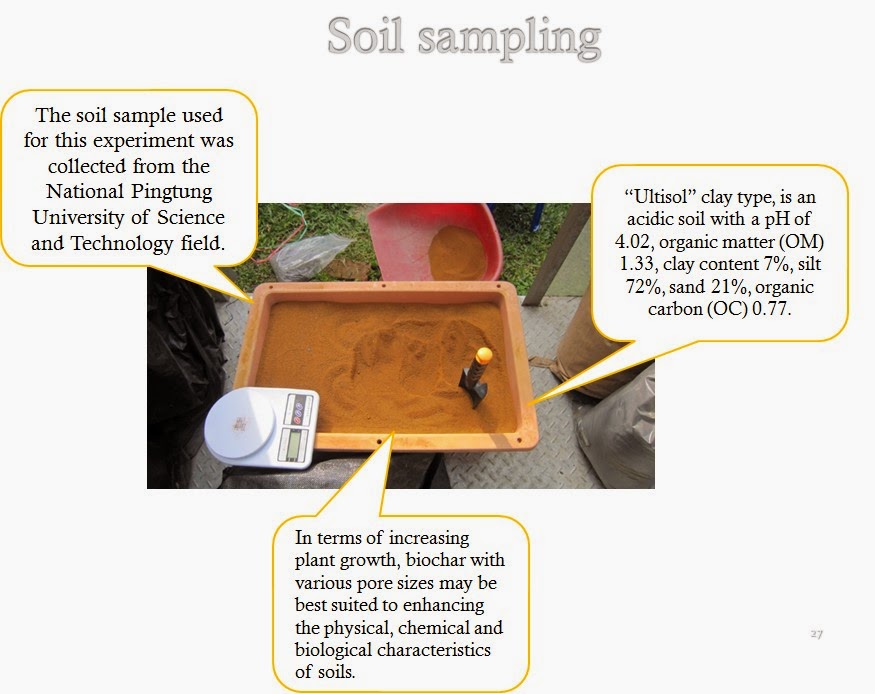 Advantages of using municipal solid waste incineration bottom ash in combination with biochar