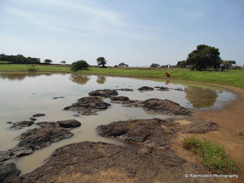 Kas Pathar - Flowers valley in Maharashtra