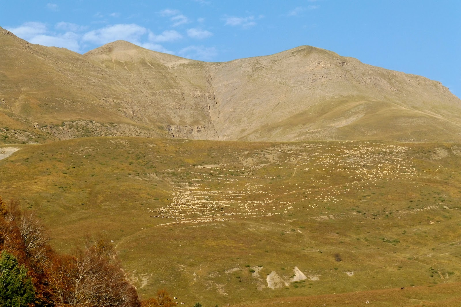 rocayflor: Paquiza de Linzola desde Linza