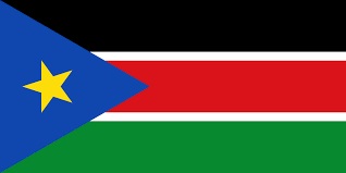 Senate urges FG to evacuate Nigerians in South Sudan